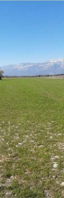 Terreno in Montereale Valcellina a Montereale Valcellina — 217.544 € — asta giudiziaria — fotografia 12