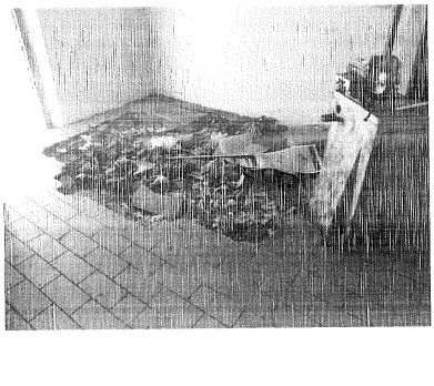 Opificio in Via Nicola Fabrizi, 26 a Grosseto — asta giudiziaria — fotografia 16