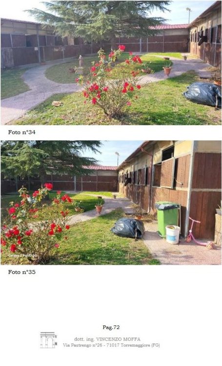 Impianto sportivo in Via Ordona a Foggia — asta giudiziaria — fotografia 19
