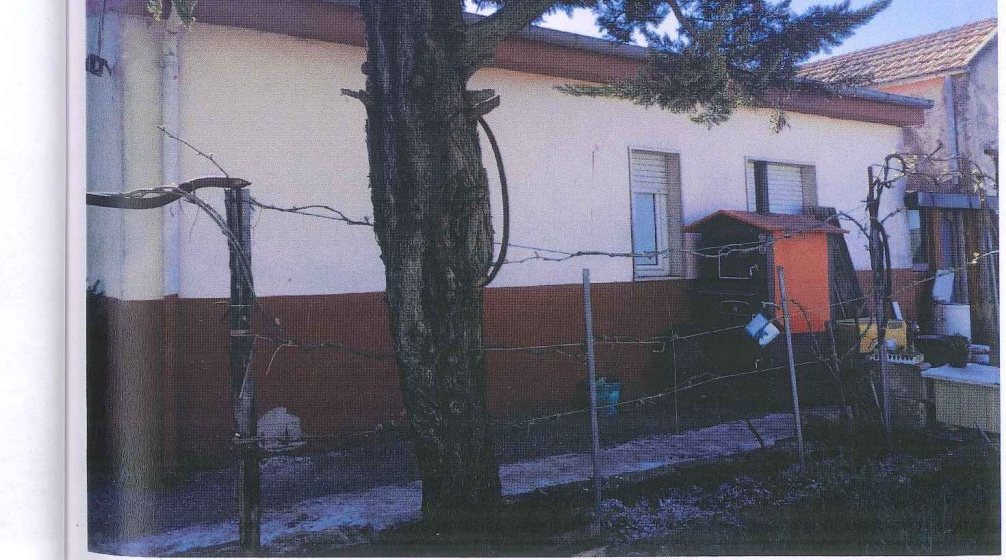 Compendio pignorato in località Monte Poto a Genzano di Lucania — asta giudiziaria — fotografia 4