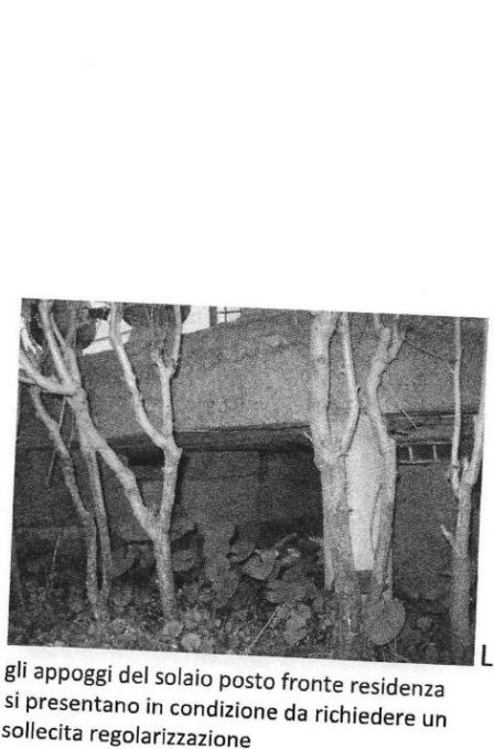 Appartamento in Via Narce 8 a Nepi — asta giudiziaria — fotografia 4