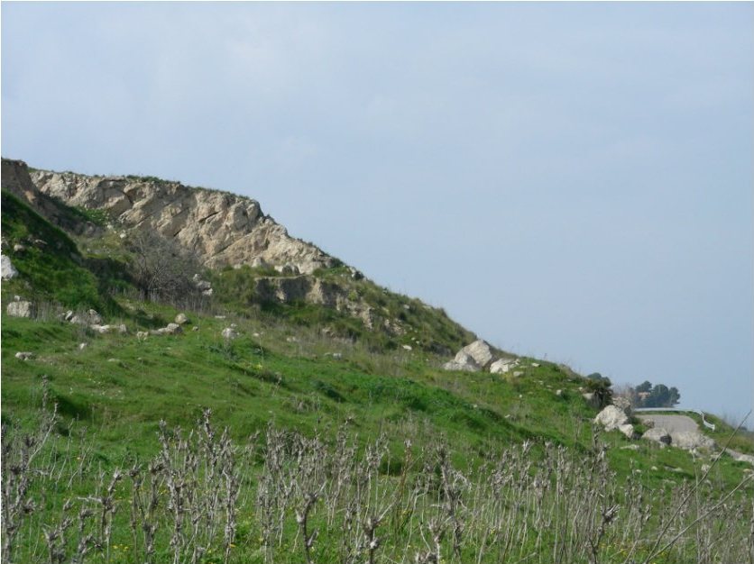 Terreno in C.da Calì a Licata — 7879 € — asta giudiziaria — fotografia 7