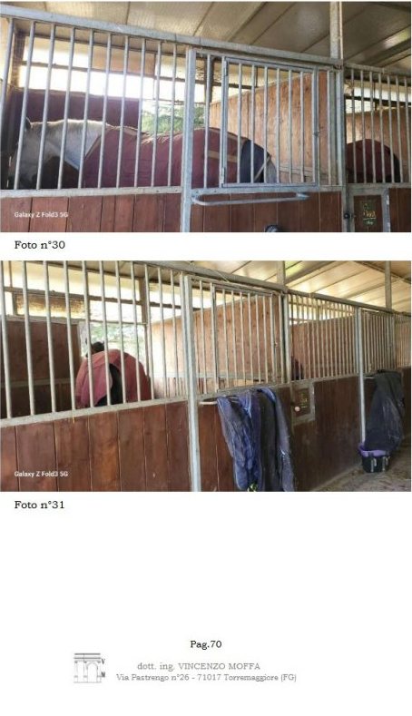 Impianto sportivo in Via Ordona a Foggia — asta giudiziaria — fotografia 17