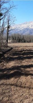 Terreno in Montereale Valcellina a Montereale Valcellina — 217.544 € — asta giudiziaria — fotografia 6
