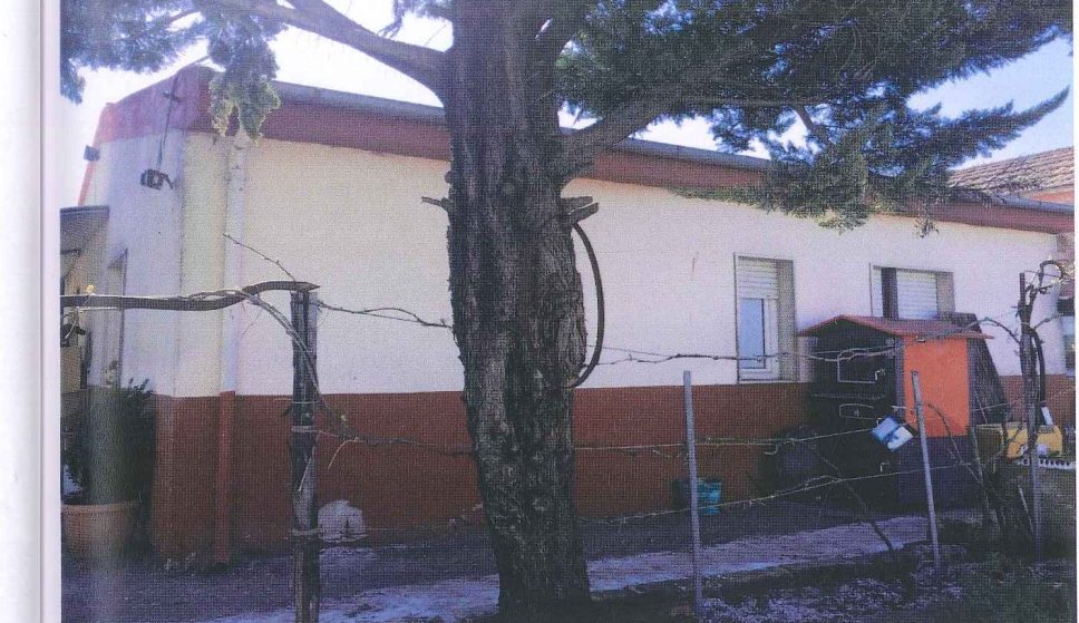 Compendio pignorato in località Monte Poto a Genzano di Lucania — asta giudiziaria — fotografia 5