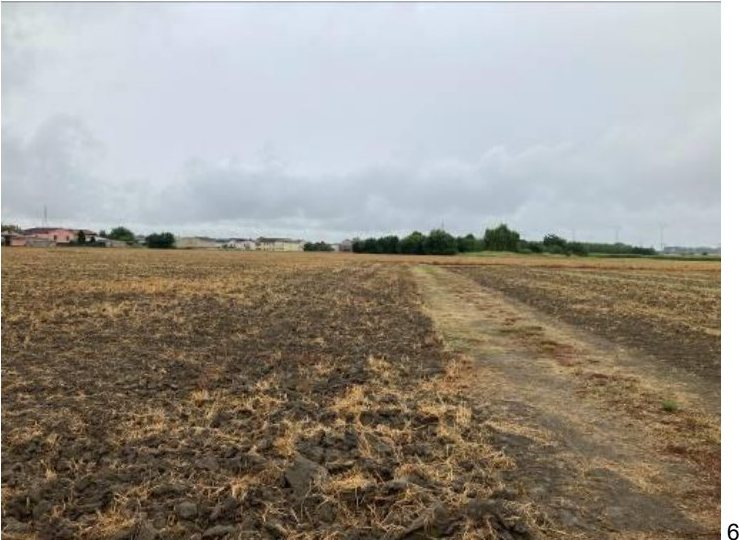 Terreno in Via Rovigo a Ostiglia — asta giudiziaria — fotografia 5