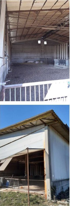 Fabbricato agricolo in via Valvasona… a San Giorgio della Richinvelda — asta giudiziaria — fotografia 13