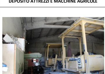 Compendio pignorato in Strada Bivio Teodorano-Piandis… a Meldola — asta giudiziaria — fotografia 5