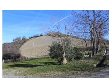 Compendio pignorato in Strada Bivio Teodorano-Piandis… a Meldola — asta giudiziaria — fotografia 6