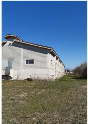 Fabbricato agricolo in via Valvasona… a San Giorgio della Richinvelda — asta giudiziaria — fotografia 8