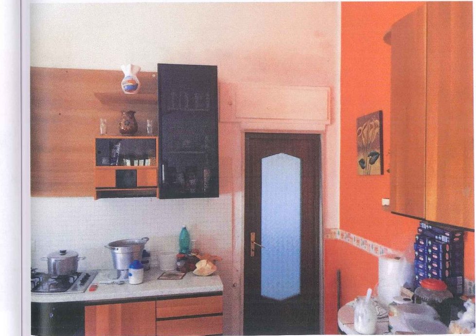 Compendio pignorato in località Monte Poto a Genzano di Lucania — asta giudiziaria — fotografia 13