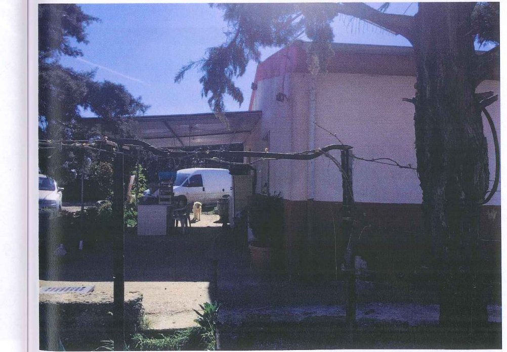 Compendio pignorato in località Monte Poto a Genzano di Lucania — asta giudiziaria — fotografia 6