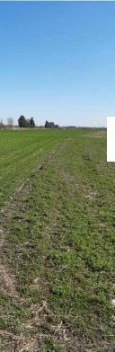 Terreno in Montereale Valcellina a Montereale Valcellina — 217.544 € — asta giudiziaria — fotografia 16
