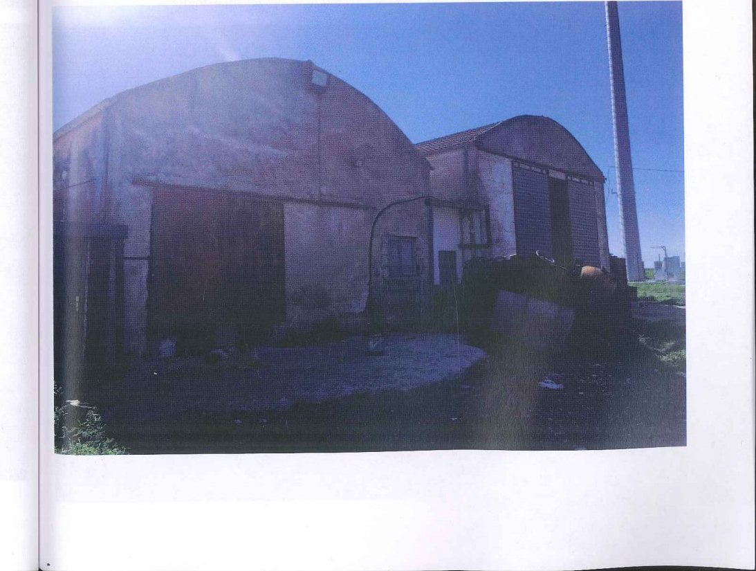 Compendio pignorato in località Monte Poto a Genzano di Lucania — asta giudiziaria — fotografia 21
