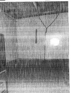 Opificio in Via Nicola Fabrizi, 26 a Grosseto — asta giudiziaria — fotografia 14