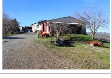 Compendio pignorato in Strada Bivio Teodorano-Piandis… a Meldola — asta giudiziaria — fotografia 10