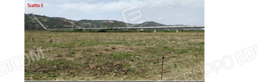 Terreno in c.da Marone, c.da Marone, snc a Tursi — asta giudiziaria — fotografia 5