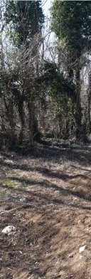 Terreno in Montereale Valcellina a Montereale Valcellina — 217.544 € — asta giudiziaria — fotografia 7