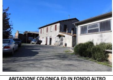 Compendio pignorato in Strada Bivio Teodorano-Piandis… a Meldola — asta giudiziaria — fotografia 12