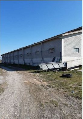 Fabbricato agricolo in via Valvasona… a San Giorgio della Richinvelda — asta giudiziaria — fotografia 7