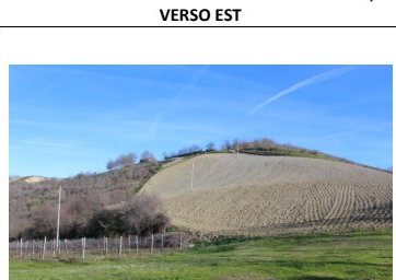 Compendio pignorato in Strada Bivio Teodorano-Piandis… a Meldola — asta giudiziaria — fotografia 13