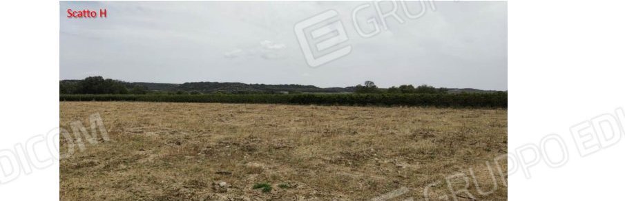 Terreno in c.da Marone, c.da Marone, snc a Tursi — asta giudiziaria — fotografia 8
