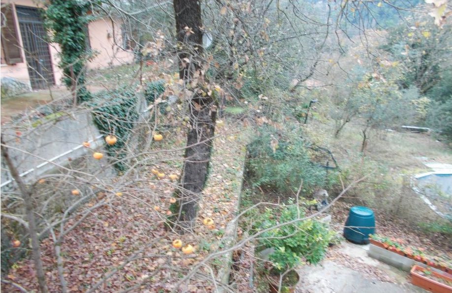 Abitazione civile in Frazione Valle S. Martino, 24 a Spoleto — asta giudiziaria — fotografia 19