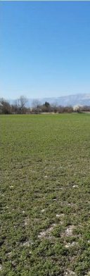 Terreno in Montereale Valcellina a Montereale Valcellina — 217.544 € — asta giudiziaria — fotografia 21