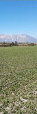 Terreno in Montereale Valcellina a Montereale Valcellina — 217.544 € — asta giudiziaria — fotografia 23