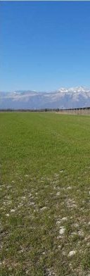 Terreno in Montereale Valcellina a Montereale Valcellina — 217.544 € — asta giudiziaria — fotografia 13