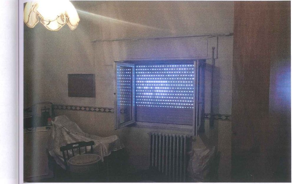 Compendio pignorato in località Monte Poto a Genzano di Lucania — asta giudiziaria — fotografia 17