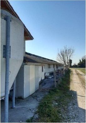 Fabbricato agricolo in via Valvasona… a San Giorgio della Richinvelda — asta giudiziaria — fotografia 5