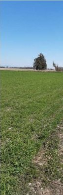 Terreno in Montereale Valcellina a Montereale Valcellina — 217.544 € — asta giudiziaria — fotografia 17