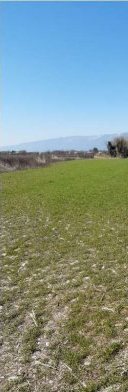 Terreno in Montereale Valcellina a Montereale Valcellina — 217.544 € — asta giudiziaria — fotografia 14
