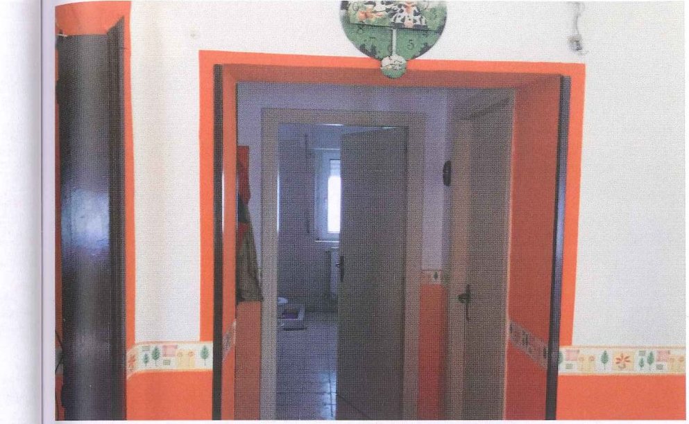 Compendio pignorato in località Monte Poto a Genzano di Lucania — asta giudiziaria — fotografia 15