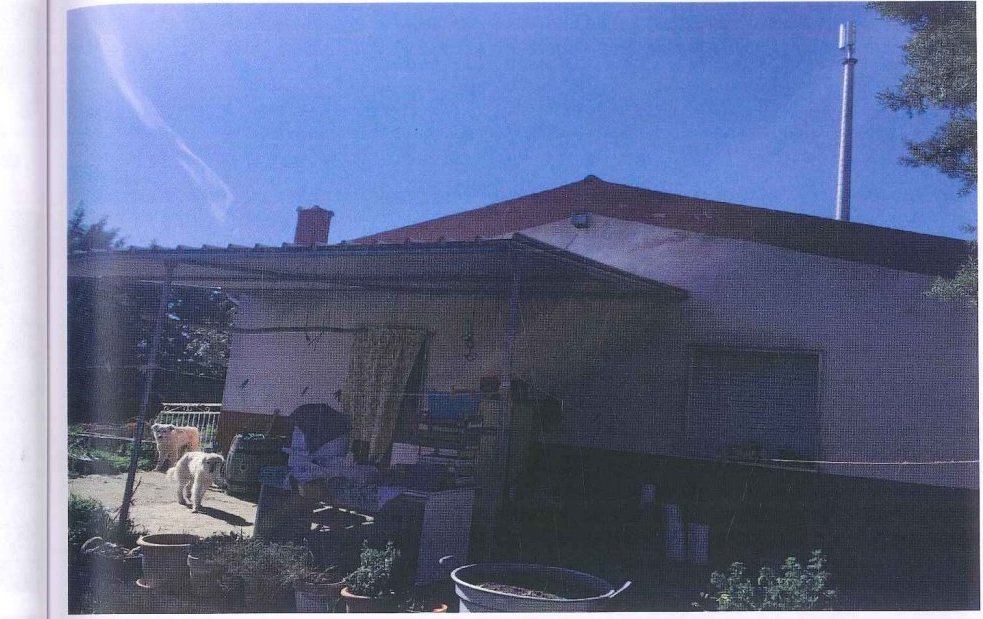 Compendio pignorato in località Monte Poto a Genzano di Lucania — asta giudiziaria — fotografia 7