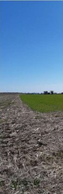 Terreno in Montereale Valcellina a Montereale Valcellina — 217.544 € — asta giudiziaria — fotografia 18