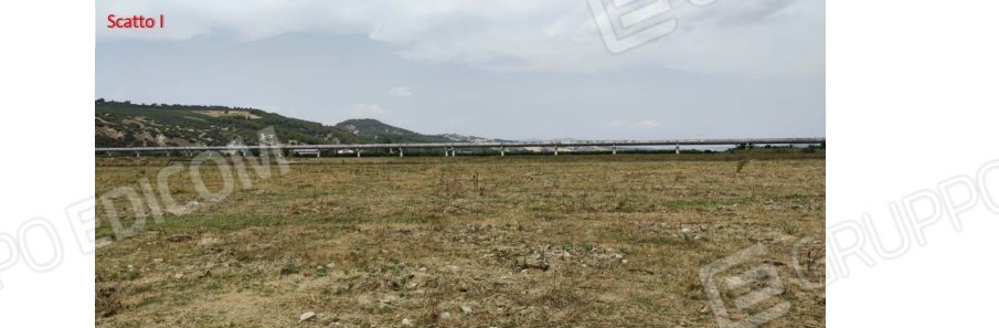 Terreno in c.da Marone, c.da Marone, snc a Tursi — asta giudiziaria — fotografia 9