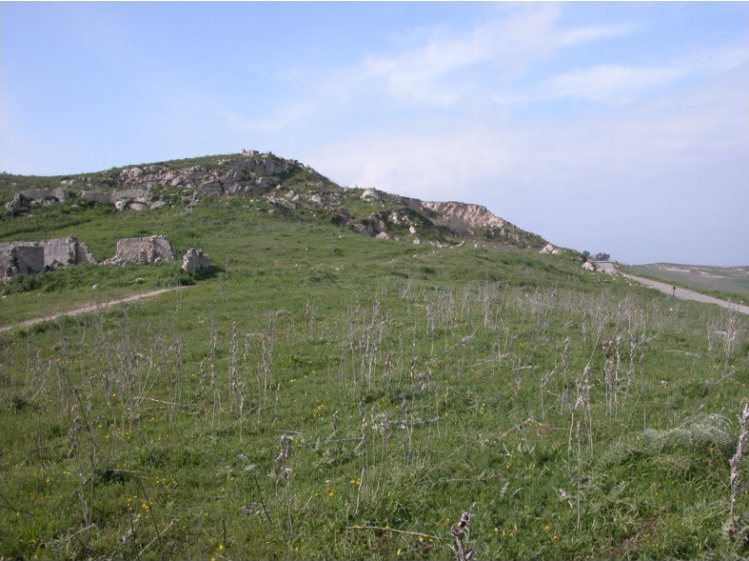Terreno in C.da Calì a Licata — 7879 € — asta giudiziaria — fotografia 6