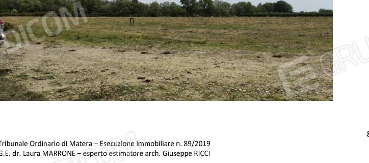 Terreno in c.da Marone, c.da Marone, snc a Tursi — asta giudiziaria — fotografia 3