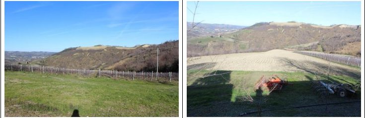 Compendio pignorato in Strada Bivio Teodorano-Piandis… a Meldola — asta giudiziaria — fotografia 18