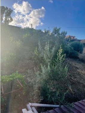 Villa in C.da Coda di Volpe a Bolognetta — asta giudiziaria — fotografia 19