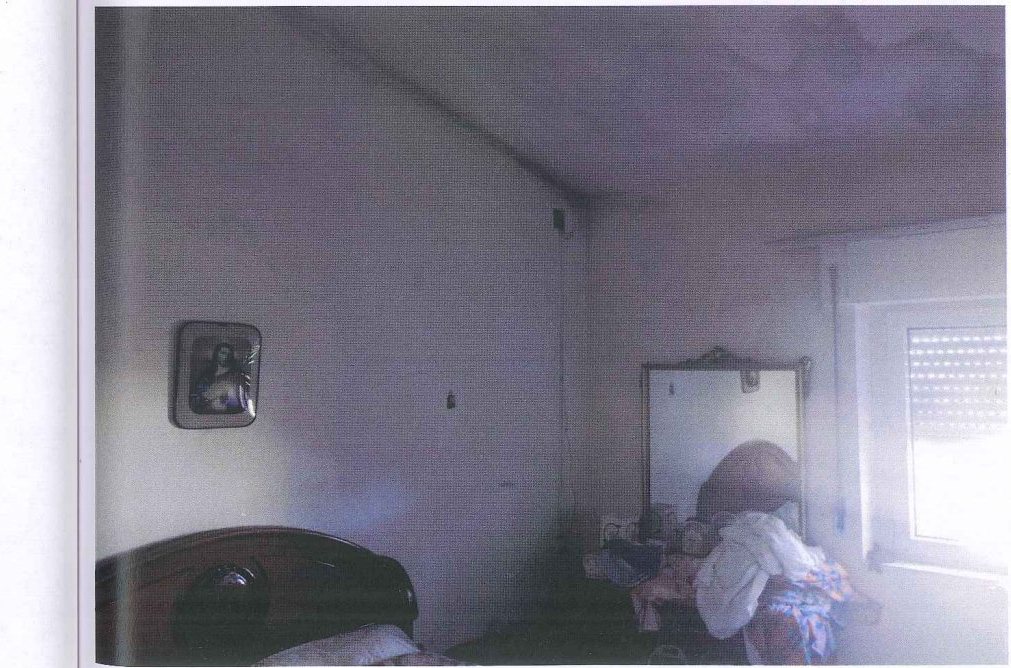 Compendio pignorato in località Monte Poto a Genzano di Lucania — asta giudiziaria — fotografia 20