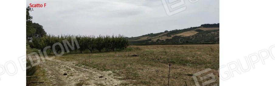 Terreno in c.da Marone, c.da Marone, snc a Tursi — asta giudiziaria — fotografia 6