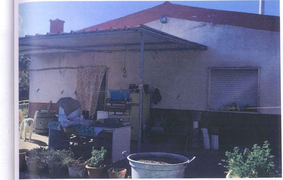 Compendio pignorato in località Monte Poto a Genzano di Lucania — asta giudiziaria — fotografia 3
