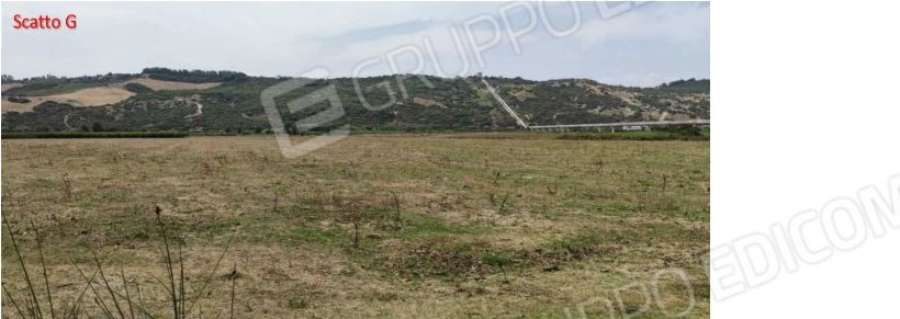 Terreno in c.da Marone, c.da Marone, snc a Tursi — asta giudiziaria — fotografia 10
