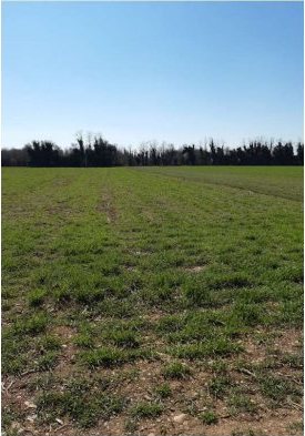 Terreno in Montereale Valcellina a Montereale Valcellina — 217.544 € — asta giudiziaria — fotografia 11