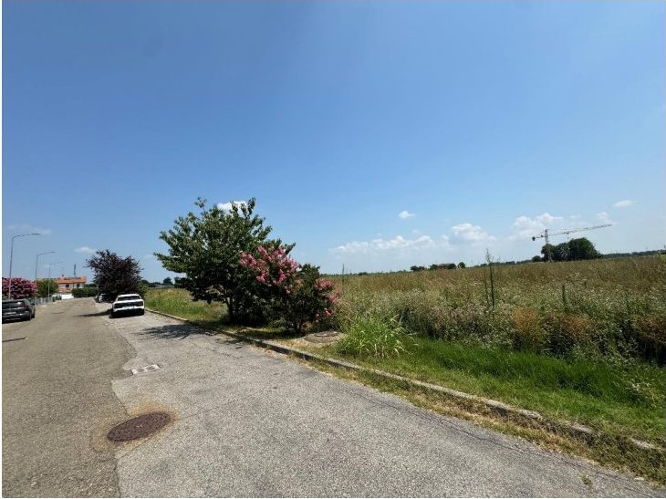 Terreno in via don Minzoni a Molinella — asta giudiziaria — fotografia 6