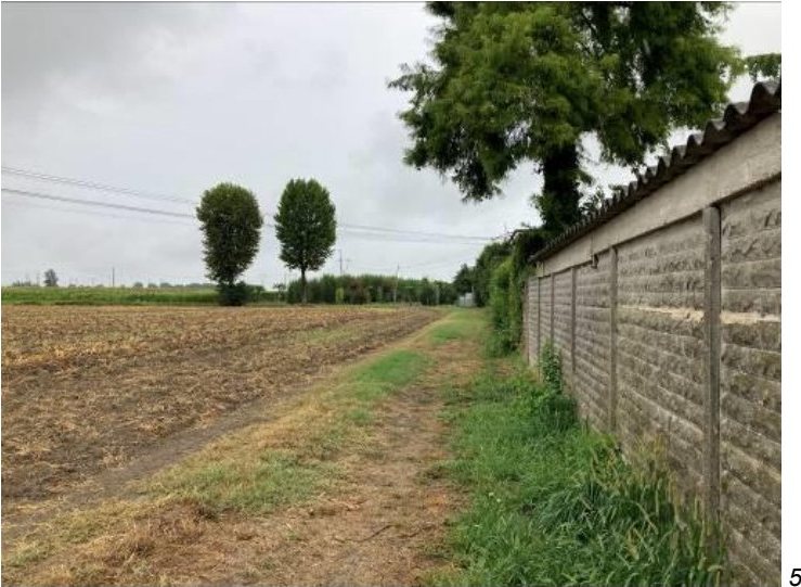 Terreno in Via Rovigo a Ostiglia — asta giudiziaria — fotografia 6