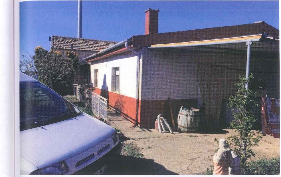Compendio pignorato in località Monte Poto a Genzano di Lucania — asta giudiziaria — fotografia 9